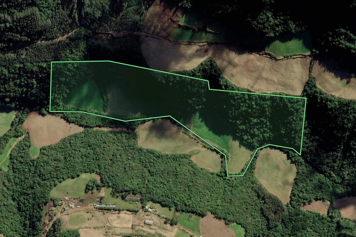 Imagem de satélite do imóvel rural em Nova Alvorada (RS), com o contorno declarado no CAR desenhado por cima.