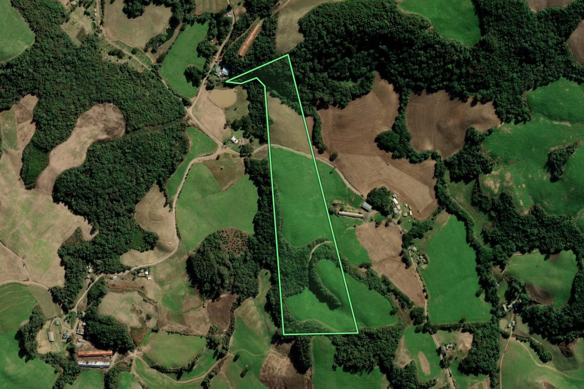 Imagem de satélite do imóvel rural em Nova Alvorada (RS), com o contorno declarado no CAR desenhado por cima.