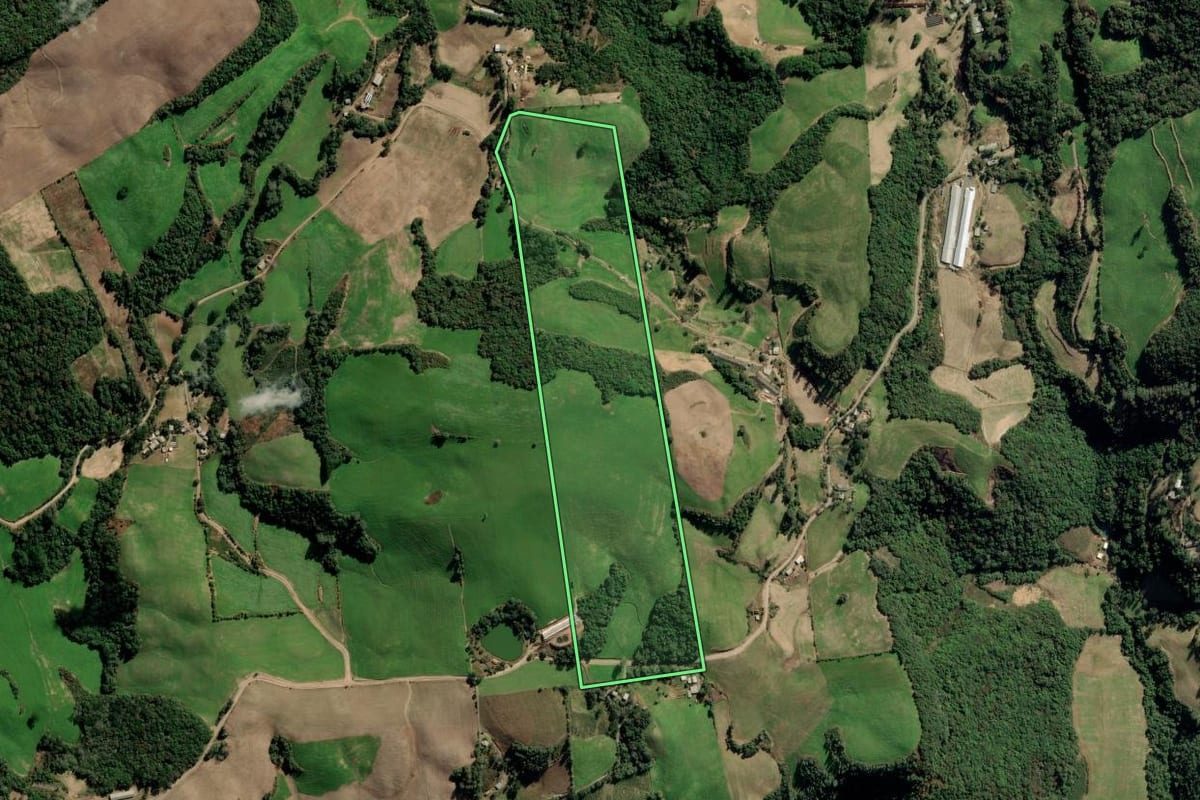 Imagem de satélite do imóvel rural em Nova Alvorada (RS), com o contorno declarado no CAR desenhado por cima.