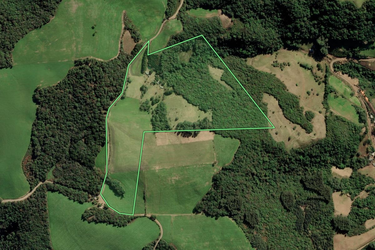 Imagem de satélite do imóvel rural em Nova Alvorada (RS), com o contorno declarado no CAR desenhado por cima.