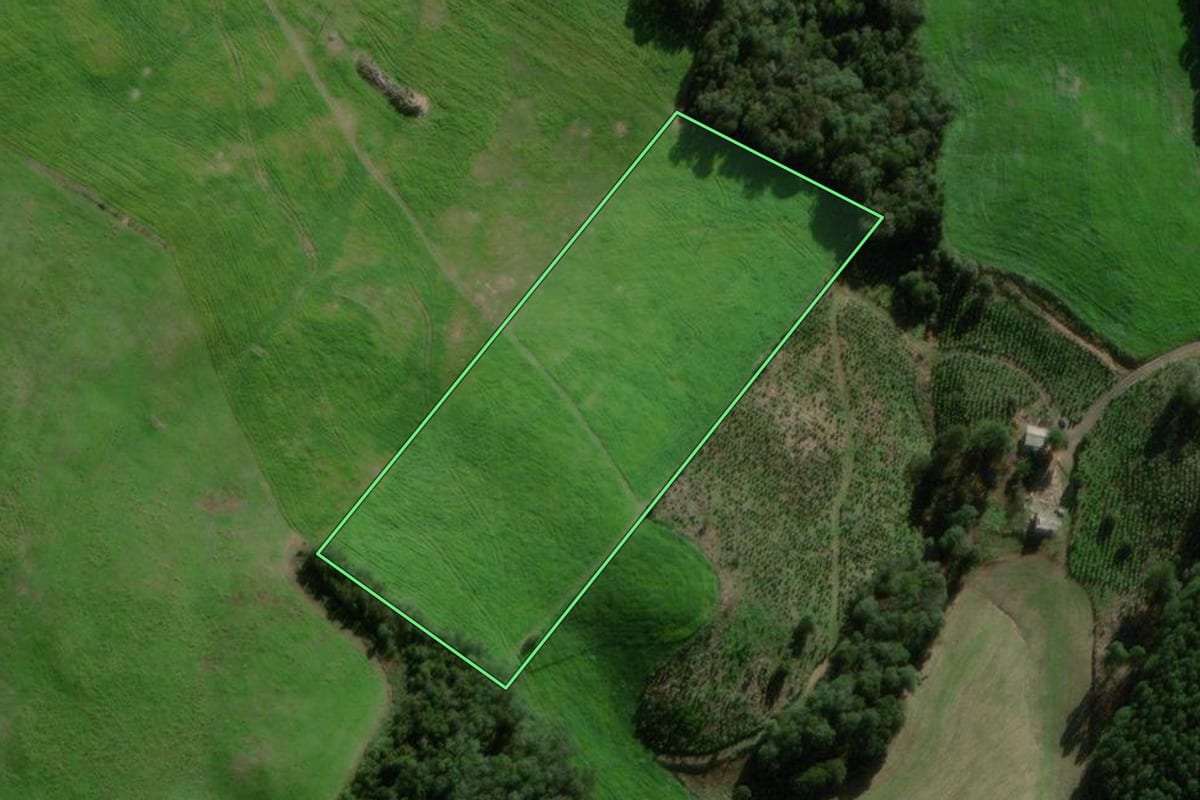 Imagem de satélite do imóvel rural em Nova Alvorada (RS), com o contorno declarado no CAR desenhado por cima.