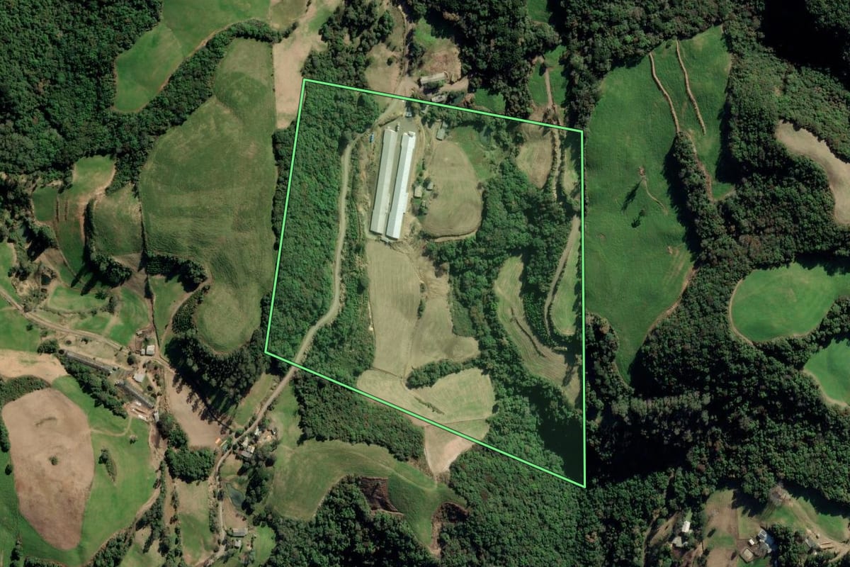 Imagem de satélite do imóvel rural em Nova Alvorada (RS), com o contorno declarado no CAR desenhado por cima.