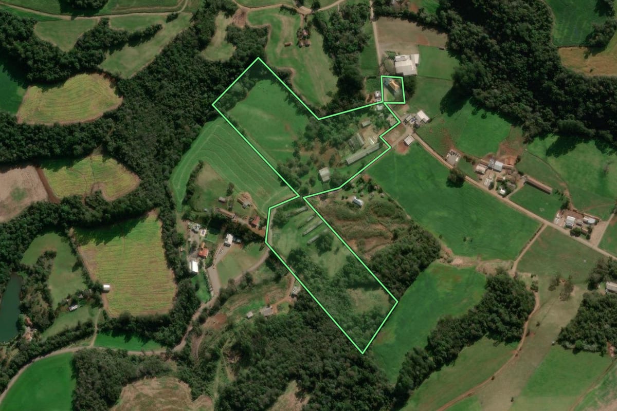 Imagem de satélite do imóvel rural em Nova Araçá (RS), com o contorno declarado no CAR desenhado por cima.