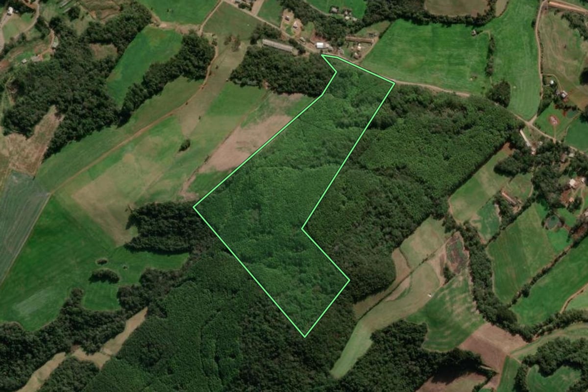Imagem de satélite do imóvel rural em Nova Araçá (RS), com o contorno declarado no CAR desenhado por cima.