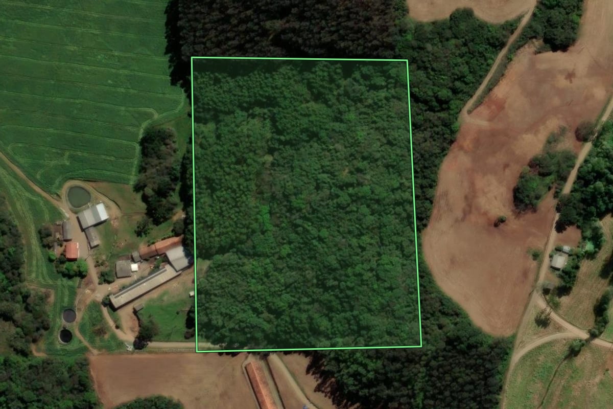 Imagem de satélite do imóvel rural em Nova Araçá (RS), com o contorno declarado no CAR desenhado por cima.