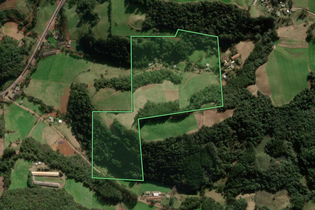 Imagem de satélite do imóvel rural em Nova Araçá (RS), com o contorno declarado no CAR desenhado por cima.