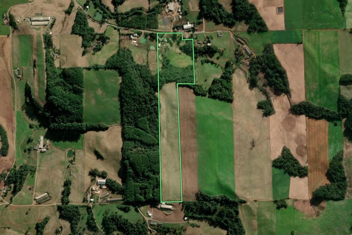 Imagem de satélite do imóvel rural em Nova Araçá (RS), com o contorno declarado no CAR desenhado por cima.