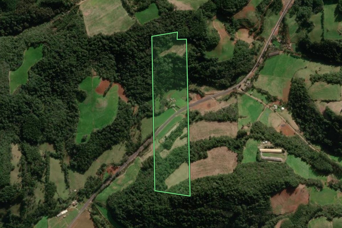 Imagem de satélite do imóvel rural em Nova Araçá (RS), com o contorno declarado no CAR desenhado por cima.