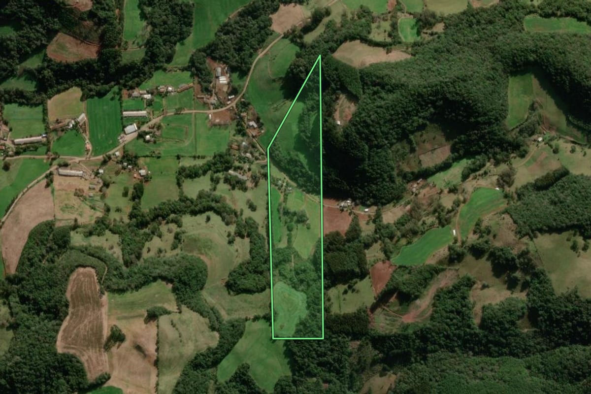 Imagem de satélite do imóvel rural em Nova Araçá (RS), com o contorno declarado no CAR desenhado por cima.