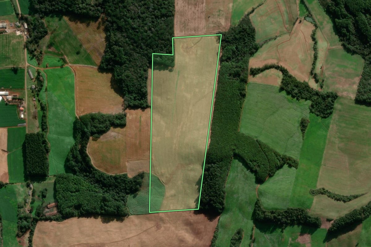 Imagem de satélite do imóvel rural em Nova Araçá (RS), com o contorno declarado no CAR desenhado por cima.