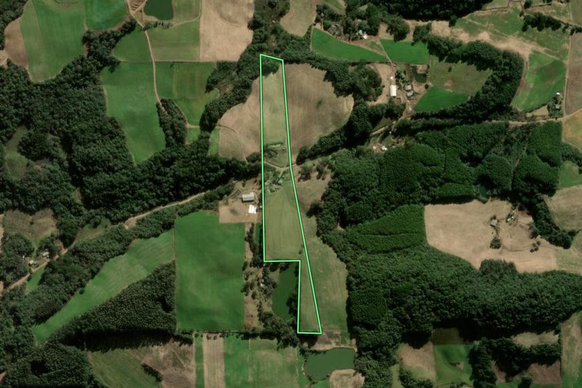 Imagem de satélite do imóvel rural em Nova Araçá (RS), com o contorno declarado no CAR desenhado por cima.