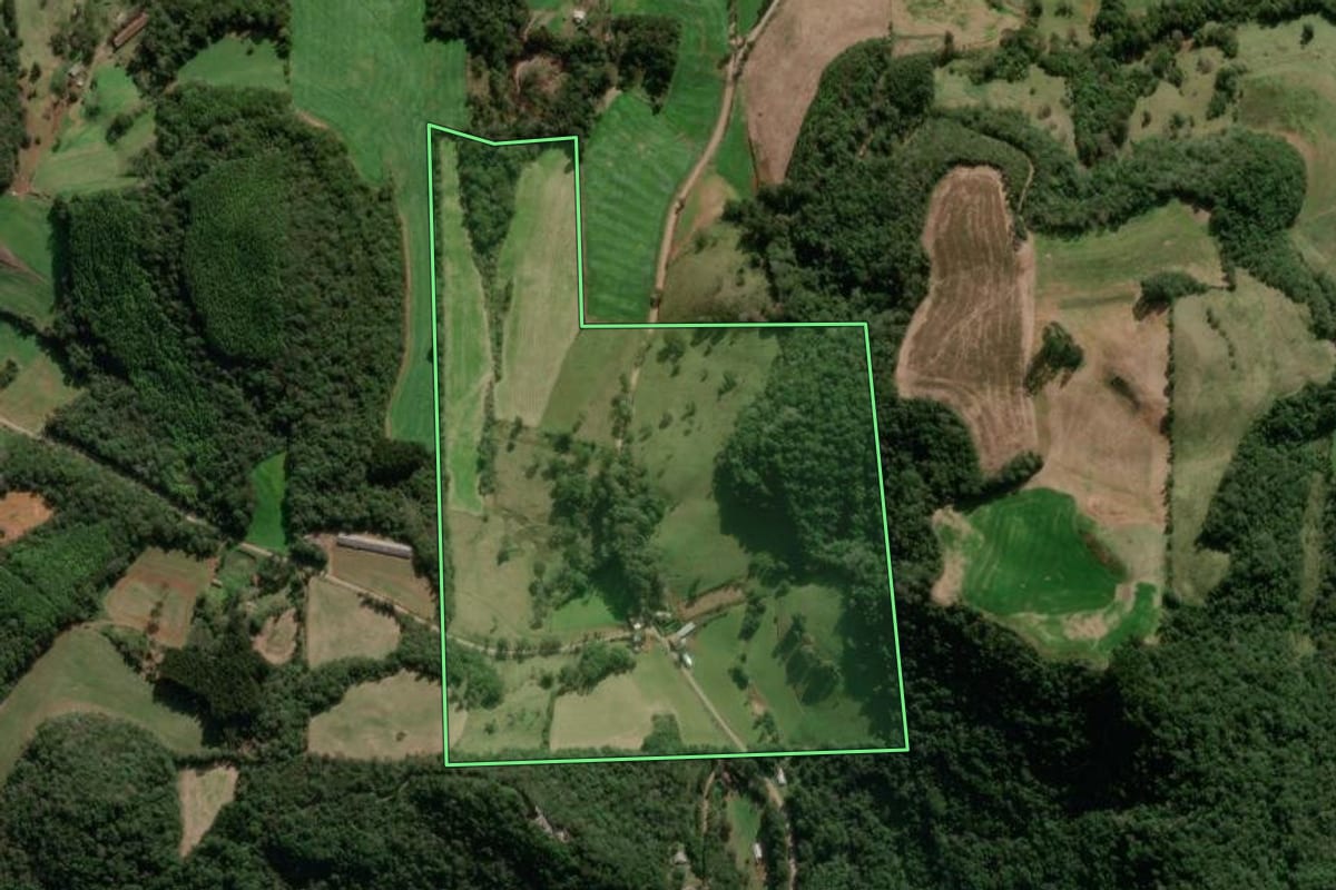 Imagem de satélite do imóvel rural em Nova Araçá (RS), com o contorno declarado no CAR desenhado por cima.