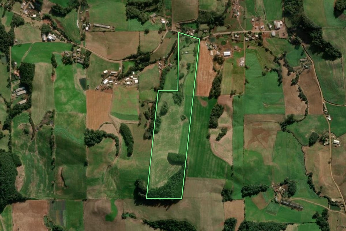 Imagem de satélite do imóvel rural em Nova Araçá (RS), com o contorno declarado no CAR desenhado por cima.
