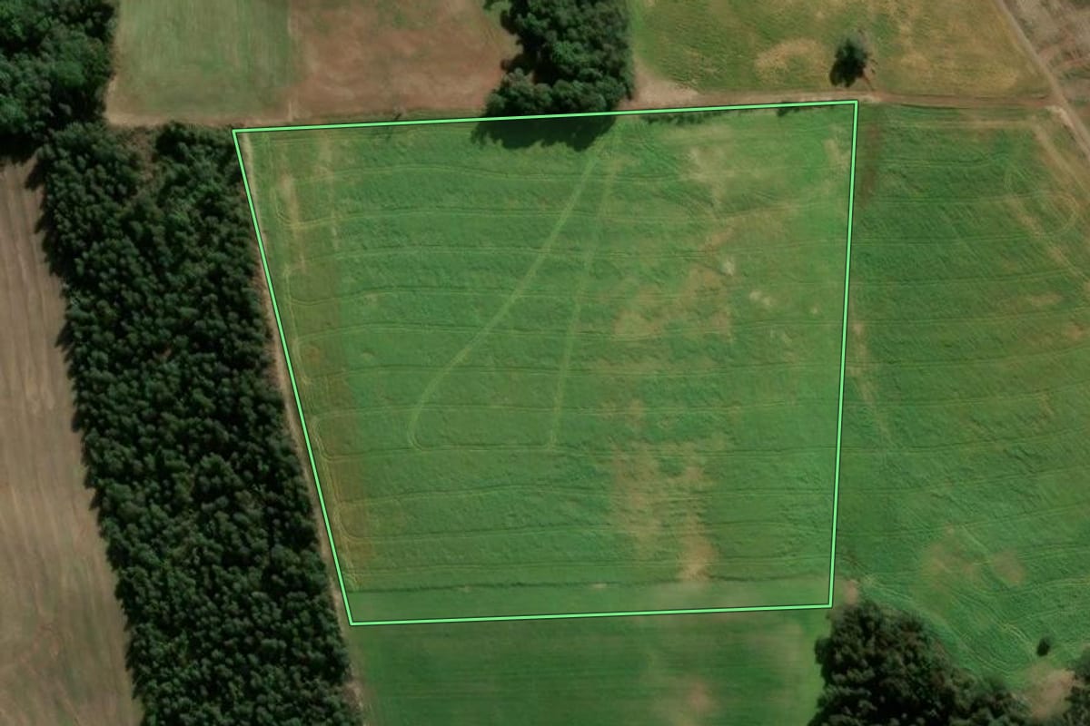 Imagem de satélite do imóvel rural em Nova Araçá (RS), com o contorno declarado no CAR desenhado por cima.