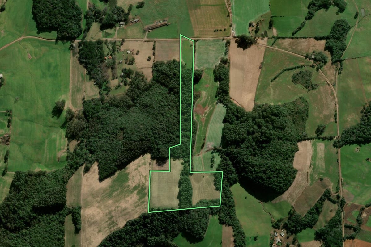 Imagem de satélite do imóvel rural em Nova Araçá (RS), com o contorno declarado no CAR desenhado por cima.