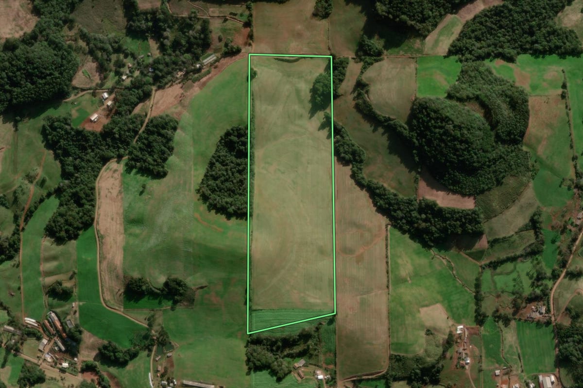 Imagem de satélite do imóvel rural em Nova Araçá (RS), com o contorno declarado no CAR desenhado por cima.