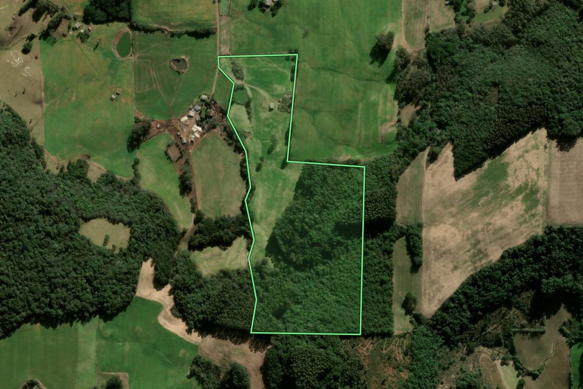 Imagem de satélite do imóvel rural em Nova Araçá (RS), com o contorno declarado no CAR desenhado por cima.