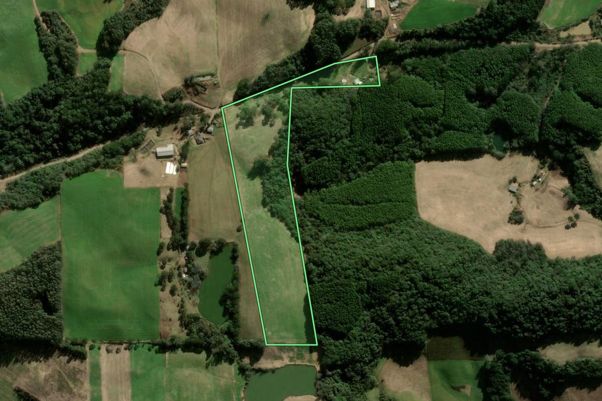 Imagem de satélite do imóvel rural em Nova Araçá (RS), com o contorno declarado no CAR desenhado por cima.