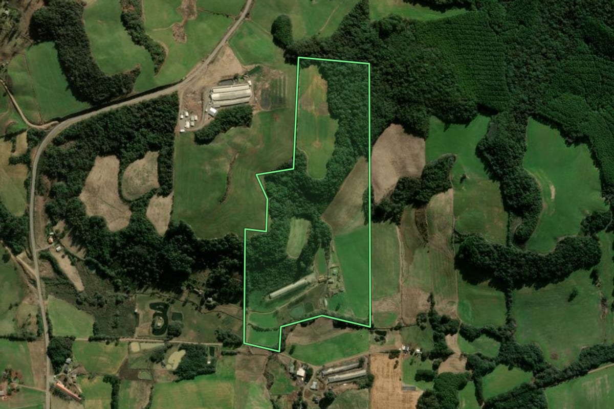 Imagem de satélite do imóvel rural em Nova Araçá (RS), com o contorno declarado no CAR desenhado por cima.