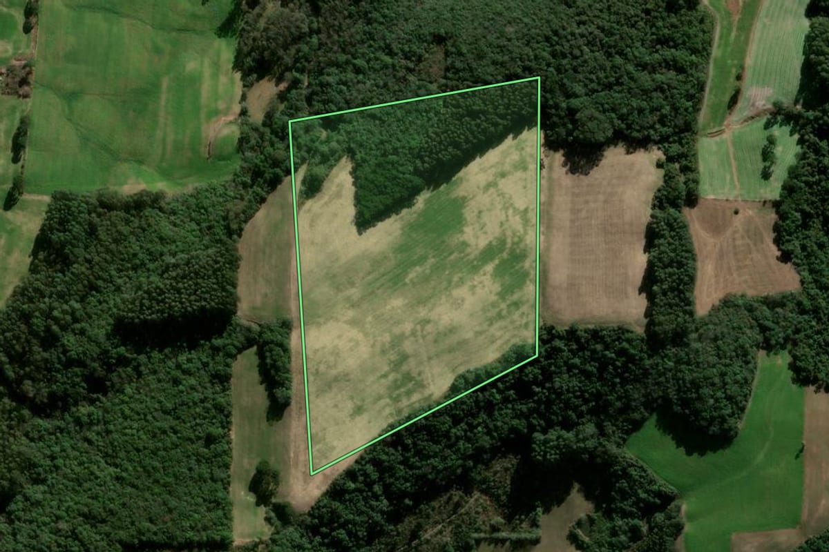 Imagem de satélite do imóvel rural em Nova Araçá (RS), com o contorno declarado no CAR desenhado por cima.