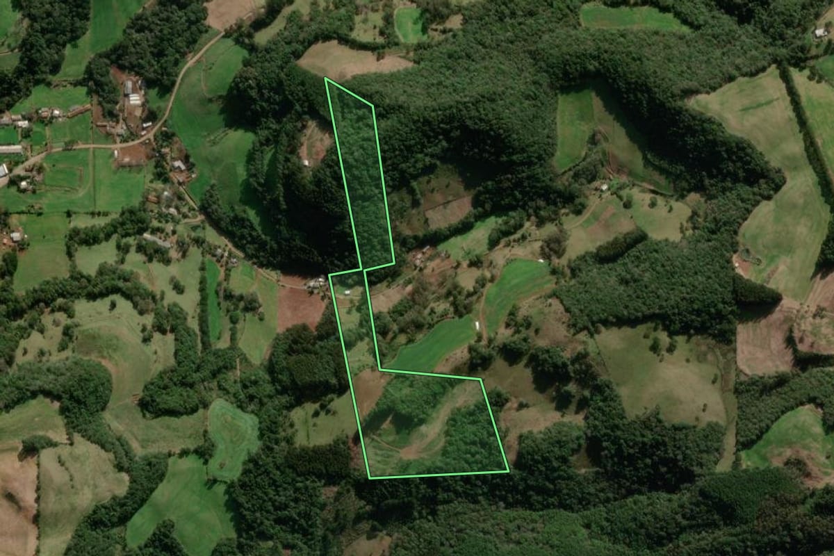 Imagem de satélite do imóvel rural em Nova Araçá (RS), com o contorno declarado no CAR desenhado por cima.