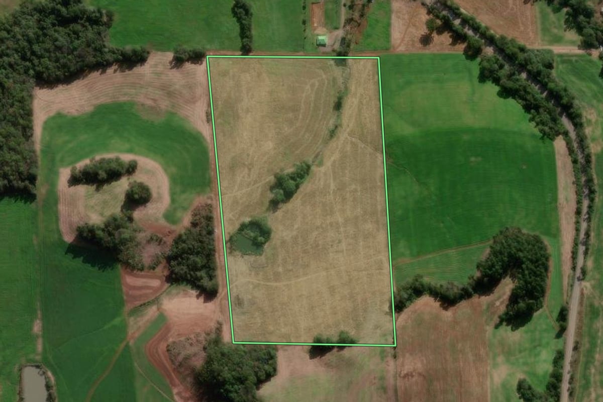 Imagem de satélite do imóvel rural em Nova Bassano (RS), com o contorno declarado no CAR desenhado por cima.