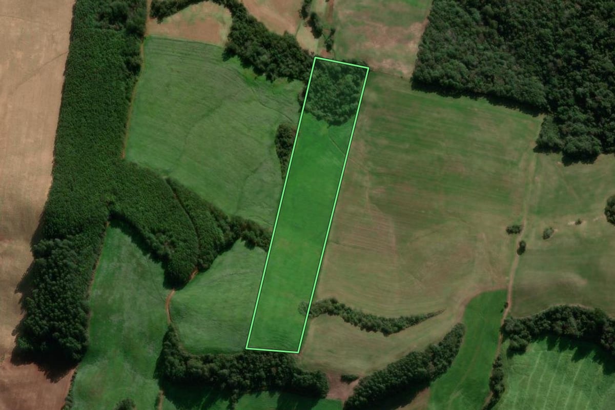 Imagem de satélite do imóvel rural em Nova Bassano (RS), com o contorno declarado no CAR desenhado por cima.