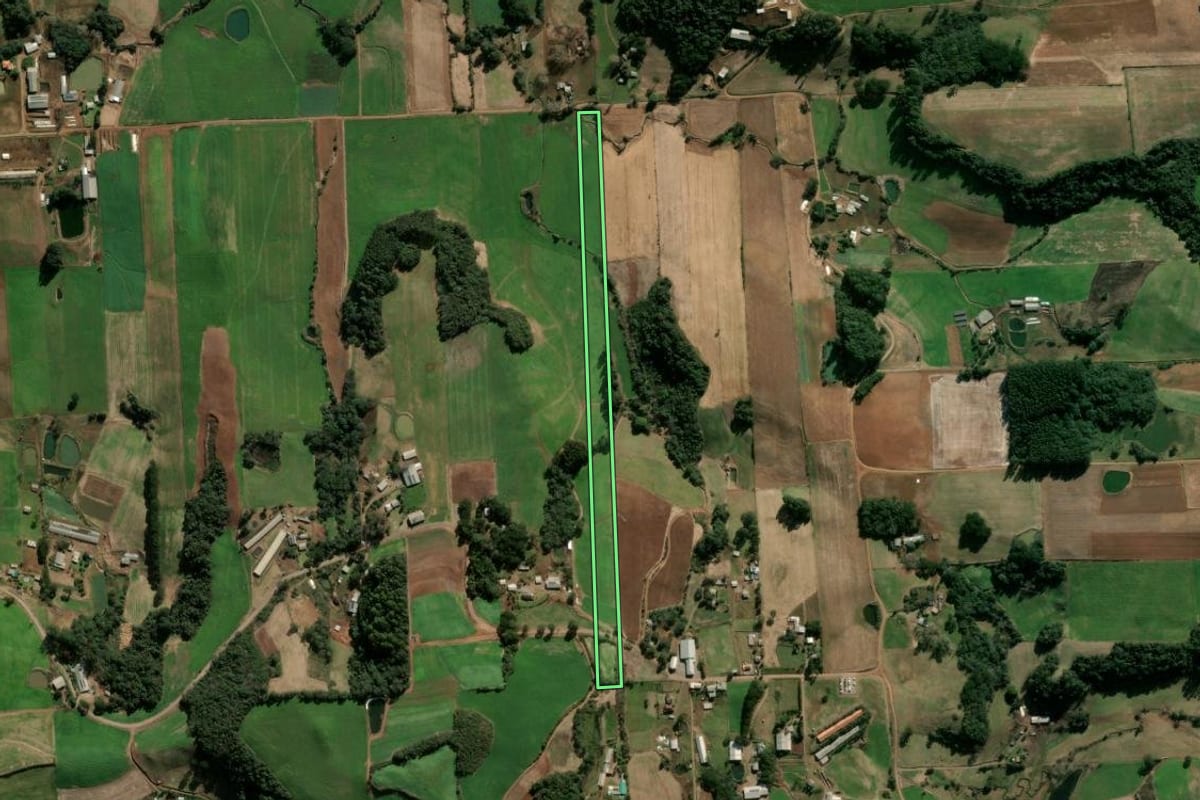 Imagem de satélite do imóvel rural em Nova Bassano (RS), com o contorno declarado no CAR desenhado por cima.