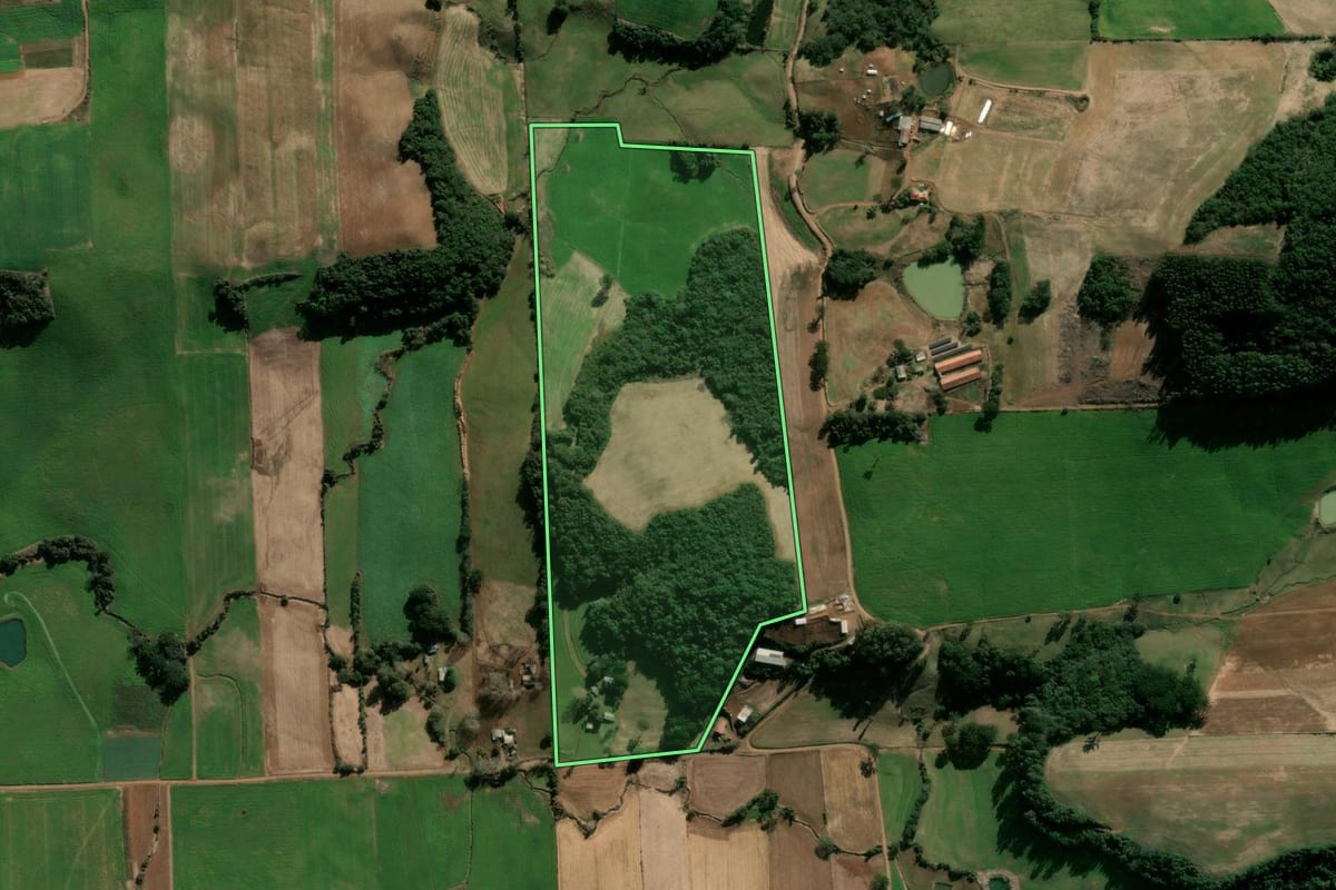 Imagem de satélite do imóvel rural em Nova Bassano (RS), com o contorno declarado no CAR desenhado por cima.