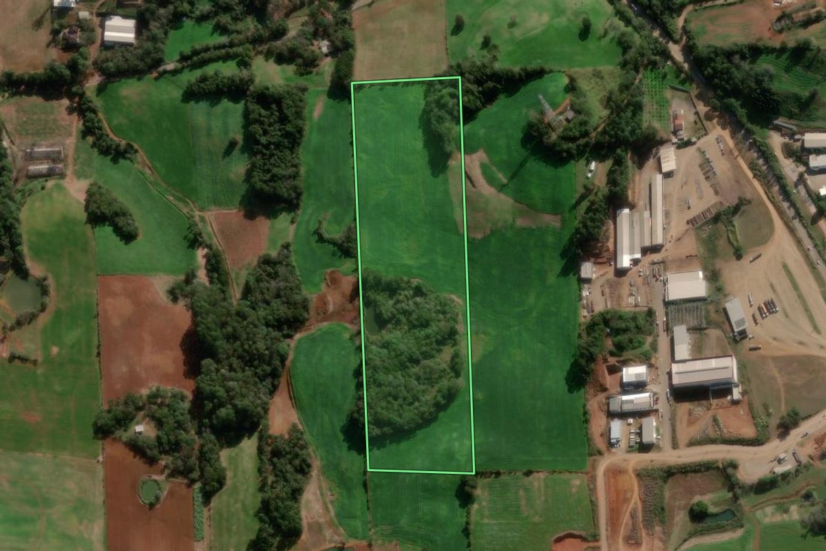 Imagem de satélite do imóvel rural em Nova Bassano (RS), com o contorno declarado no CAR desenhado por cima.