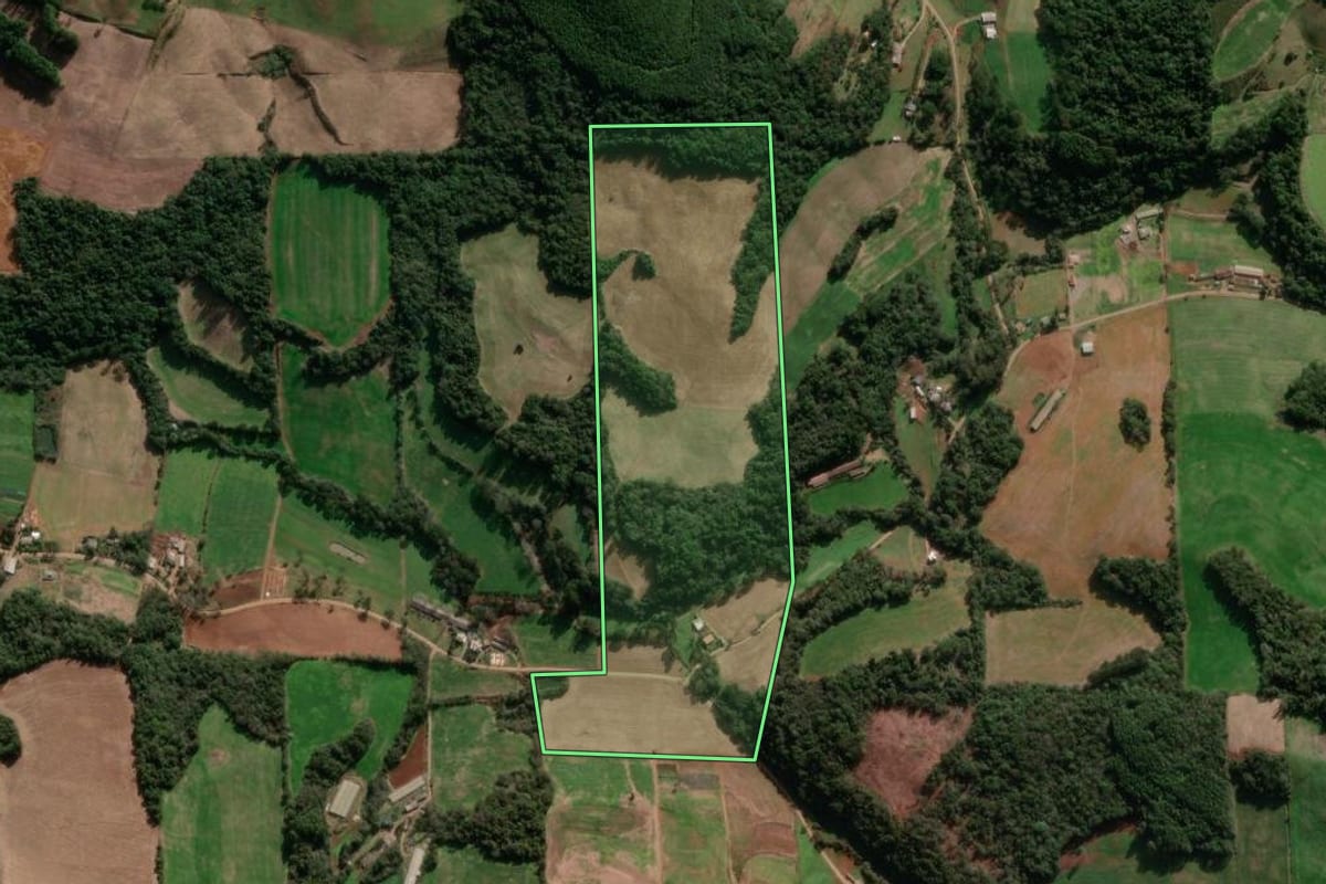 Imagem de satélite do imóvel rural em Nova Bassano (RS), com o contorno declarado no CAR desenhado por cima.