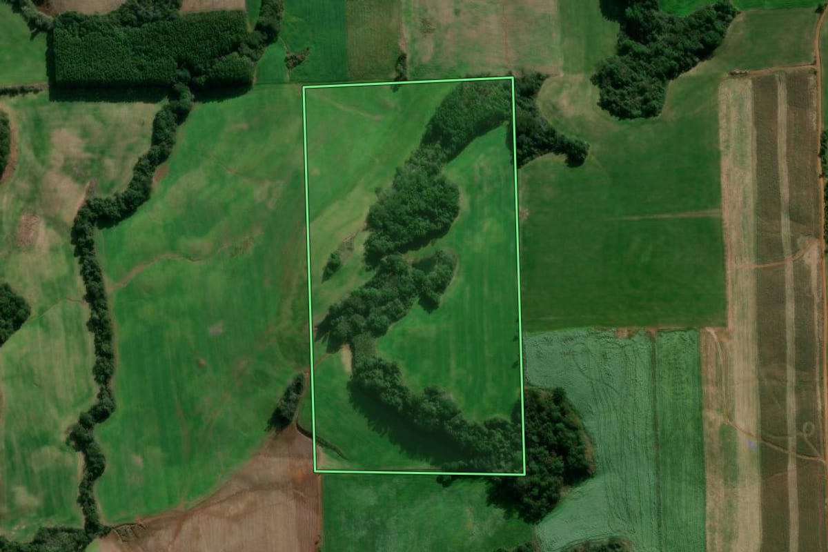 Imagem de satélite do imóvel rural em Nova Bassano (RS), com o contorno declarado no CAR desenhado por cima.