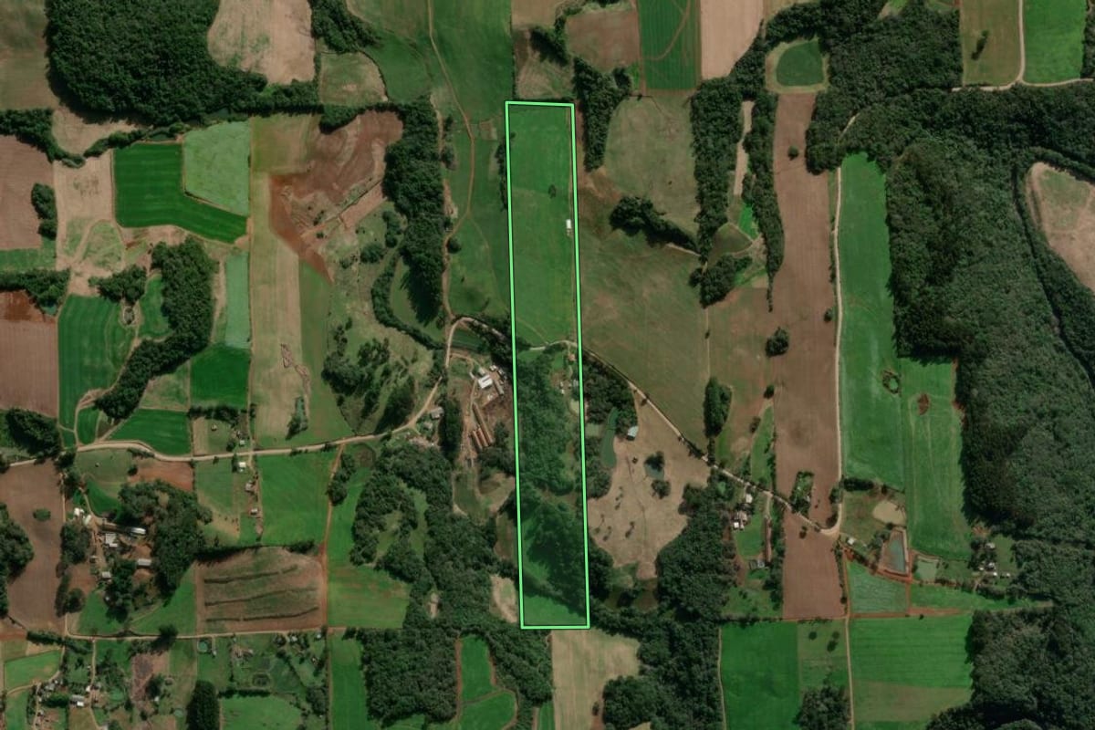 Imagem de satélite do imóvel rural em Nova Bassano (RS), com o contorno declarado no CAR desenhado por cima.