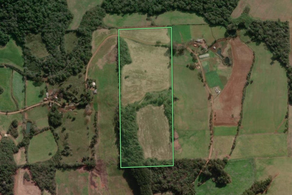 Imagem de satélite do imóvel rural em Nova Bassano (RS), com o contorno declarado no CAR desenhado por cima.