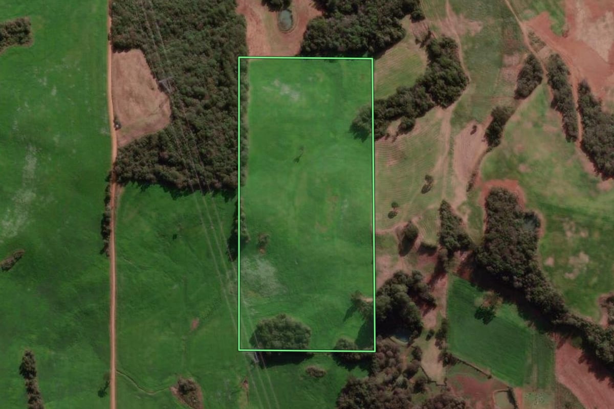 Imagem de satélite do imóvel rural em Nova Bassano (RS), com o contorno declarado no CAR desenhado por cima.