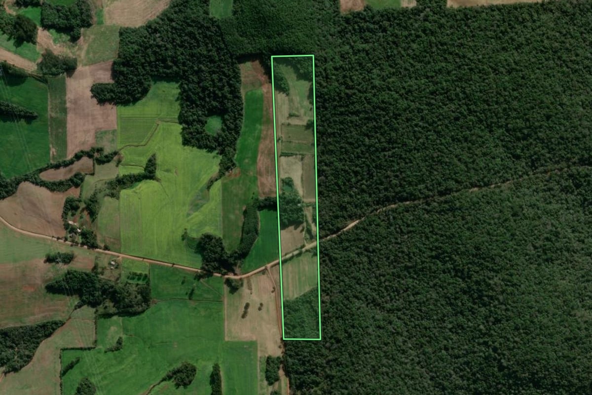 Imagem de satélite do imóvel rural em Nova Bassano (RS), com o contorno declarado no CAR desenhado por cima.