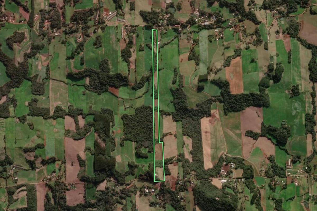 Imagem de satélite do imóvel rural em Nova Bassano (RS), com o contorno declarado no CAR desenhado por cima.
