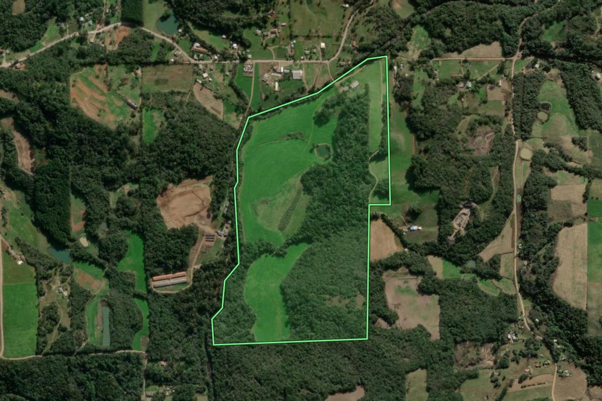 Imagem de satélite do imóvel rural em Nova Bassano (RS), com o contorno declarado no CAR desenhado por cima.