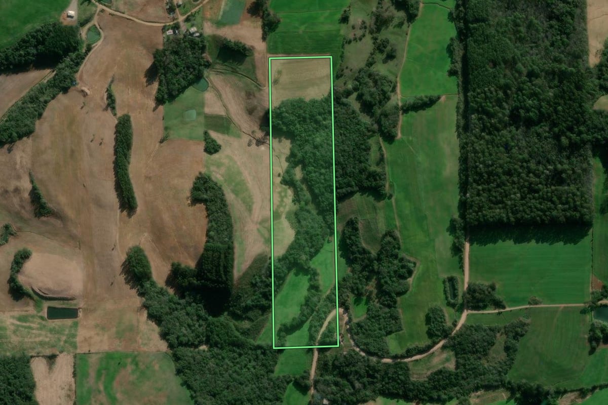 Imagem de satélite do imóvel rural em Nova Bassano (RS), com o contorno declarado no CAR desenhado por cima.