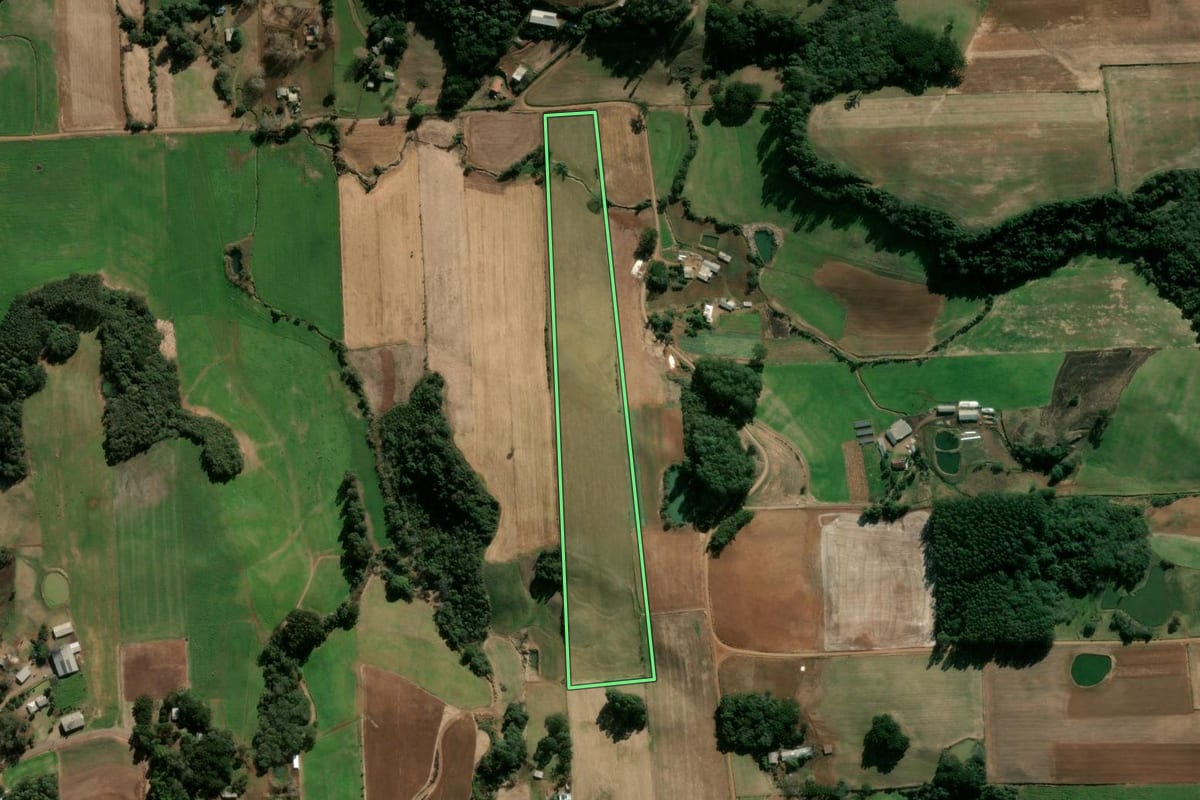 Imagem de satélite do imóvel rural em Nova Bassano (RS), com o contorno declarado no CAR desenhado por cima.