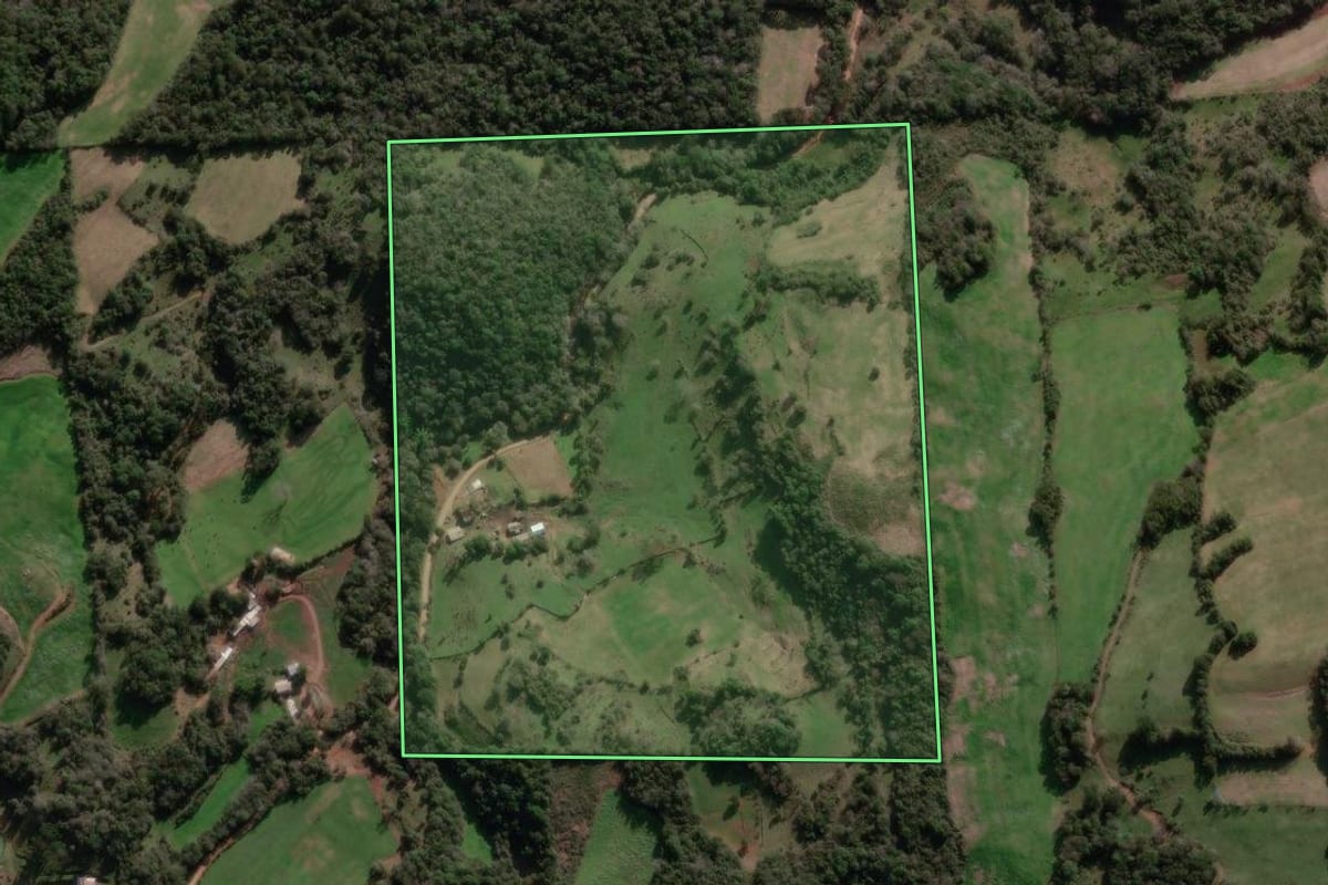 Imagem de satélite do imóvel rural em Nova Bassano (RS), com o contorno declarado no CAR desenhado por cima.