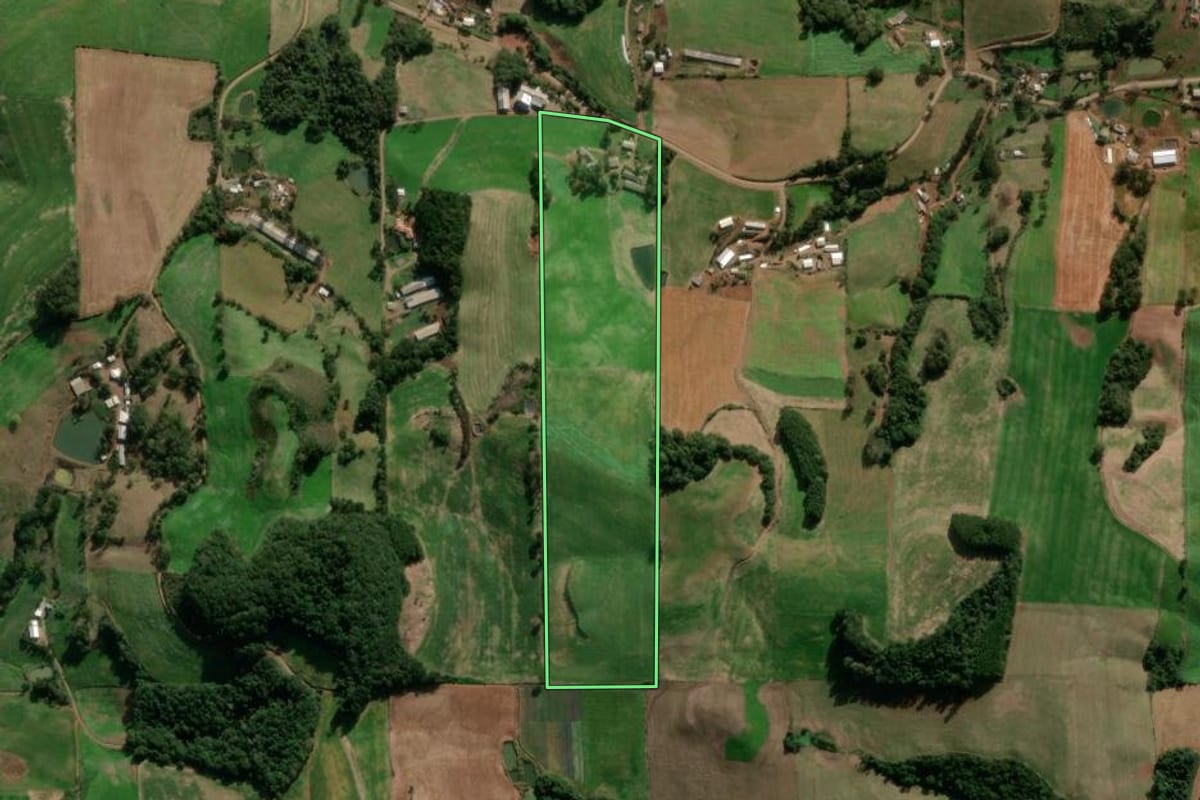 Imagem de satélite do imóvel rural em Nova Bassano (RS), com o contorno declarado no CAR desenhado por cima.