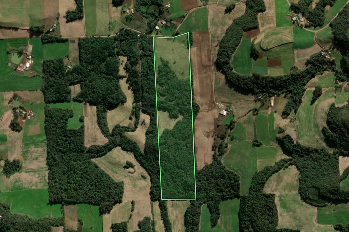 Imagem de satélite do imóvel rural em Nova Bassano (RS), com o contorno declarado no CAR desenhado por cima.