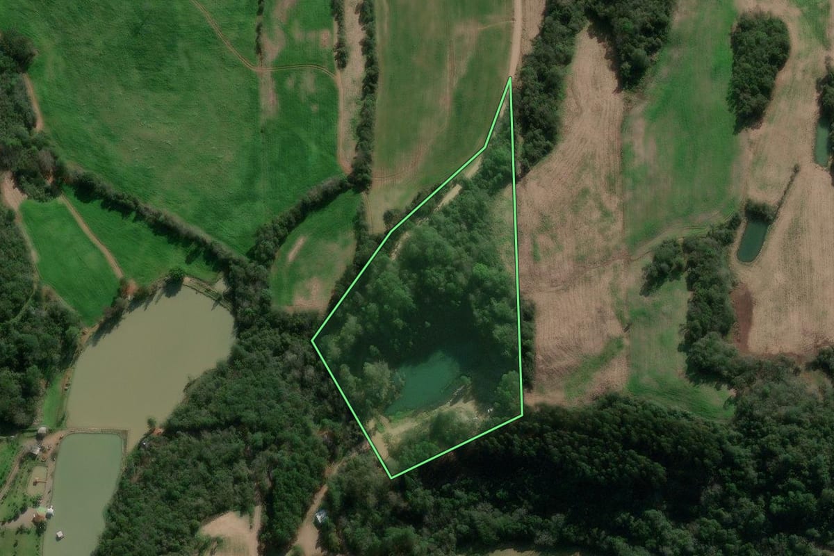 Imagem de satélite do imóvel rural em Nova Bassano (RS), com o contorno declarado no CAR desenhado por cima.