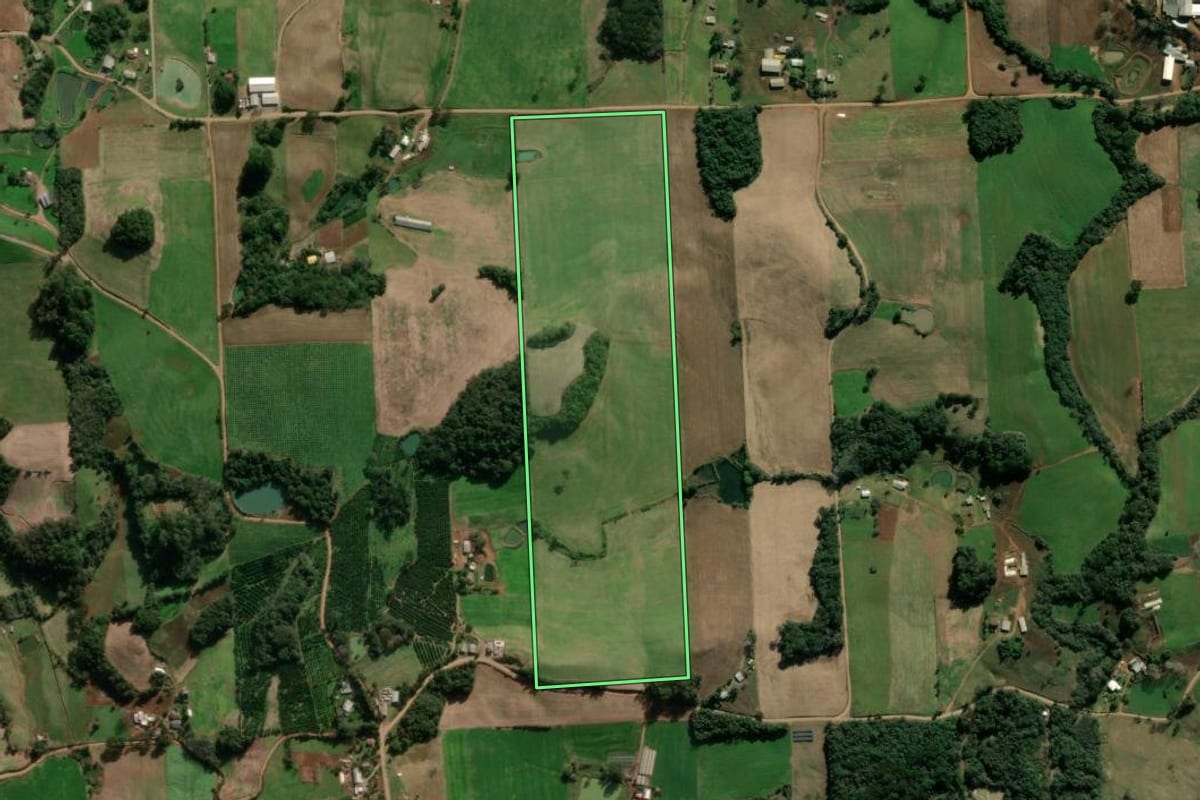 Imagem de satélite do imóvel rural em Nova Bassano (RS), com o contorno declarado no CAR desenhado por cima.