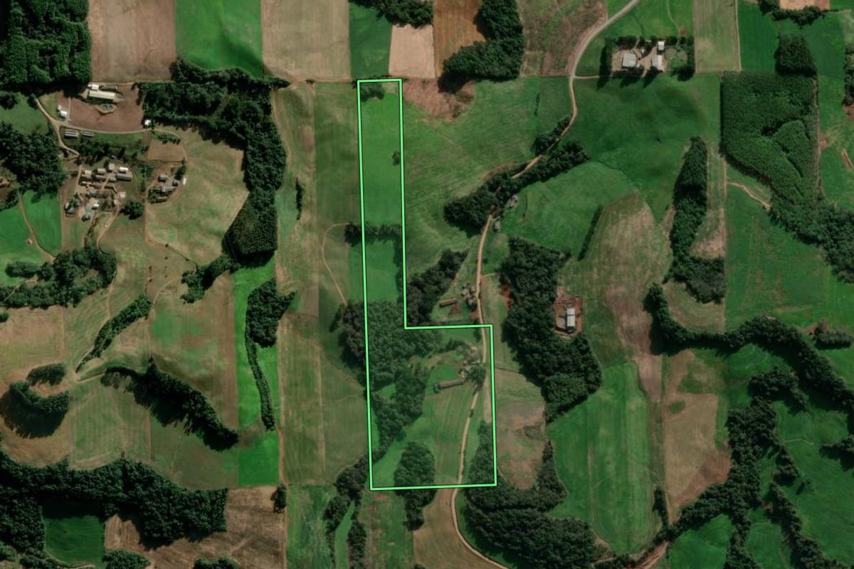 Imagem de satélite do imóvel rural em Nova Bassano (RS), com o contorno declarado no CAR desenhado por cima.