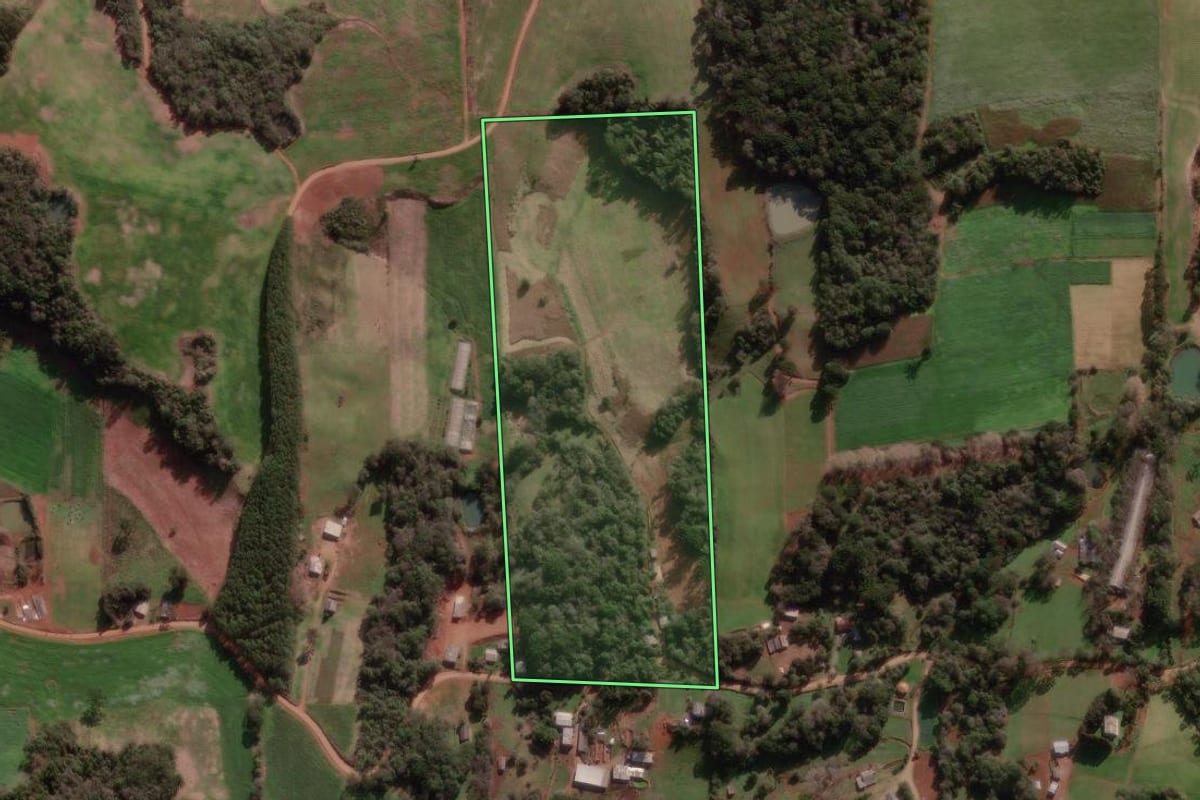 Imagem de satélite do imóvel rural em Nova Bassano (RS), com o contorno declarado no CAR desenhado por cima.