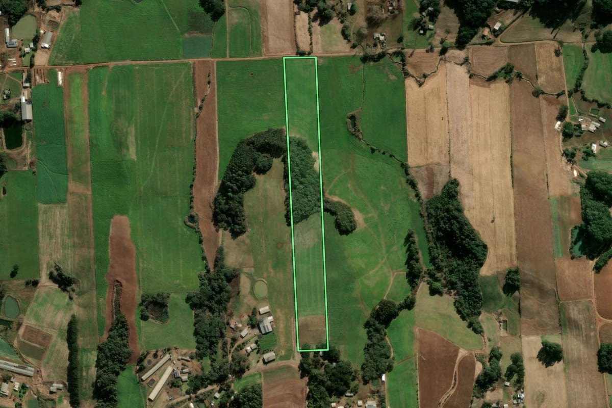Imagem de satélite do imóvel rural em Nova Bassano (RS), com o contorno declarado no CAR desenhado por cima.