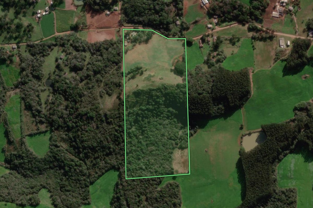 Imagem de satélite do imóvel rural em Nova Bassano (RS), com o contorno declarado no CAR desenhado por cima.