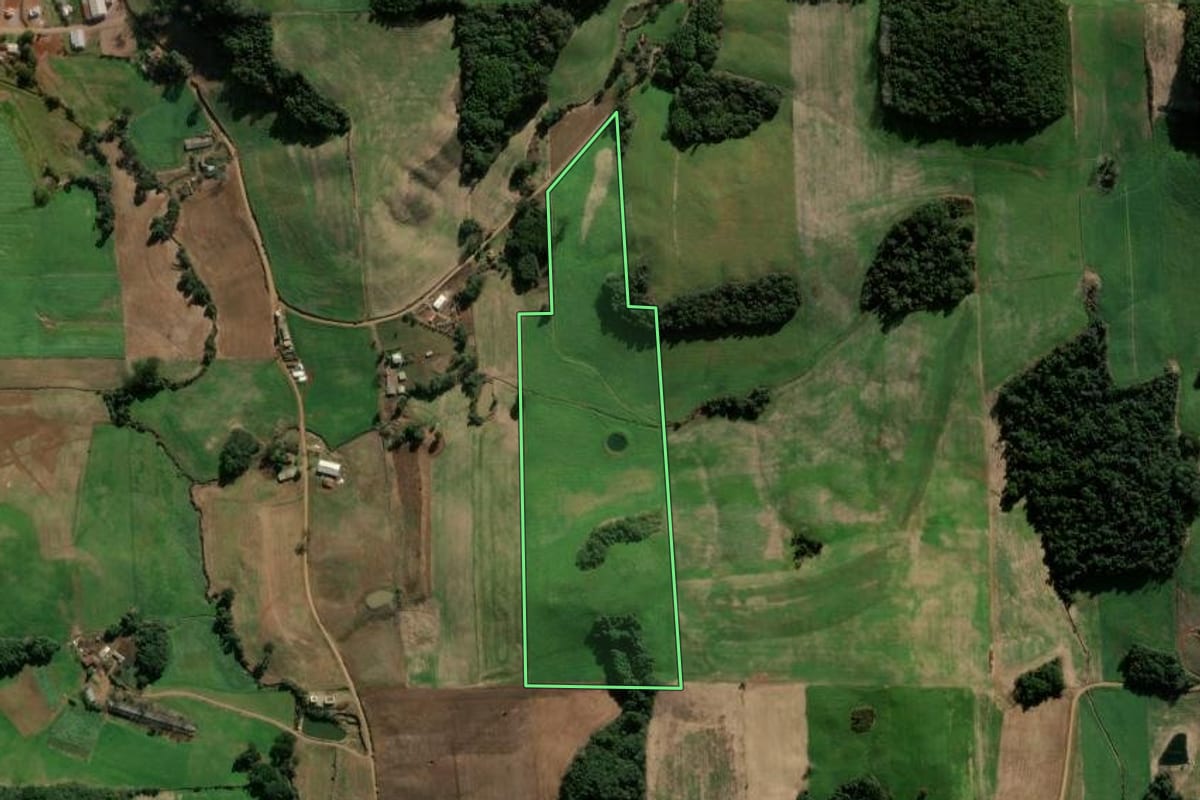 Imagem de satélite do imóvel rural em Nova Bassano (RS), com o contorno declarado no CAR desenhado por cima.